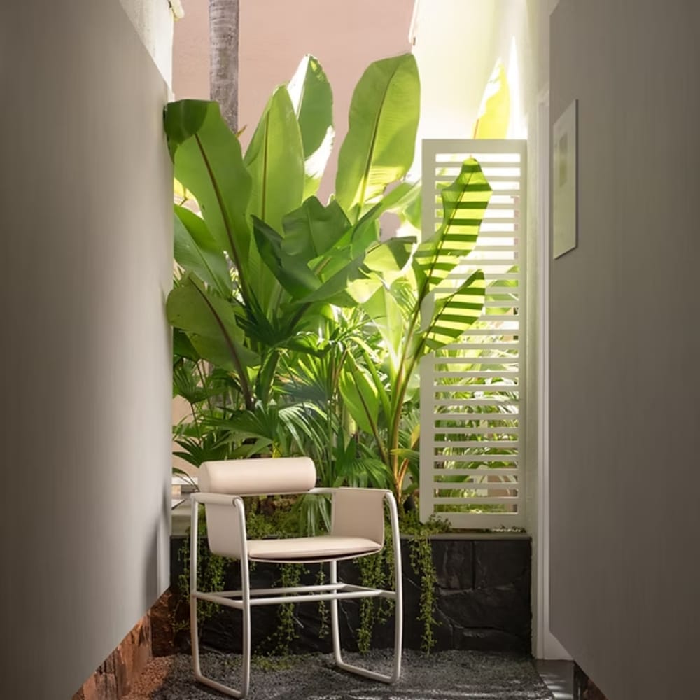 Cadeira Arc, design de Roberta Banqueri — foto 4