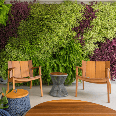 Vitra