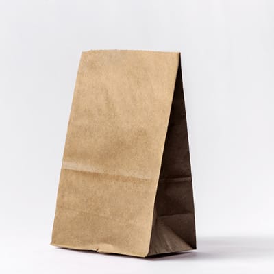 Saco de Papel Kraft para Lanches G, 24x43,5x15,5, Basics LISO – 100un