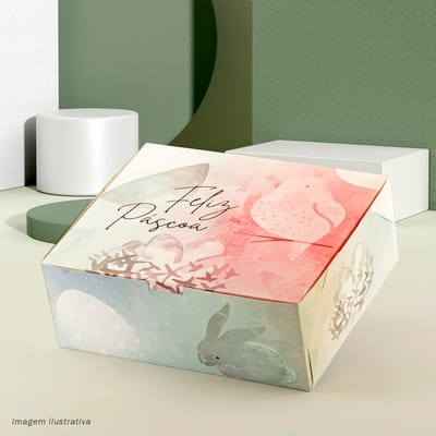 Caixa para Presente, com papel, “G” 23x19x8,5cm, Colors - 25un