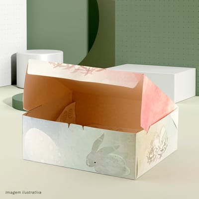 Caixa para Presente, com papel, “G” 23x19x8,5cm, Colors - 25un - Imagem 2