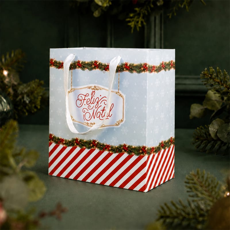 c18d1aa5850e5dd0badc1a1d31071bc6.jpg Sacola de papel para Presente, "P" 18x10x20cm, Carrossel - 10un - Imagem 1